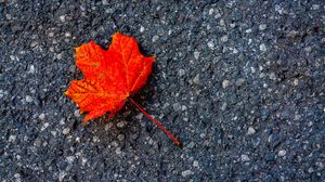 Preview wallpaper leaf, maple, autumn, asphalt, macro