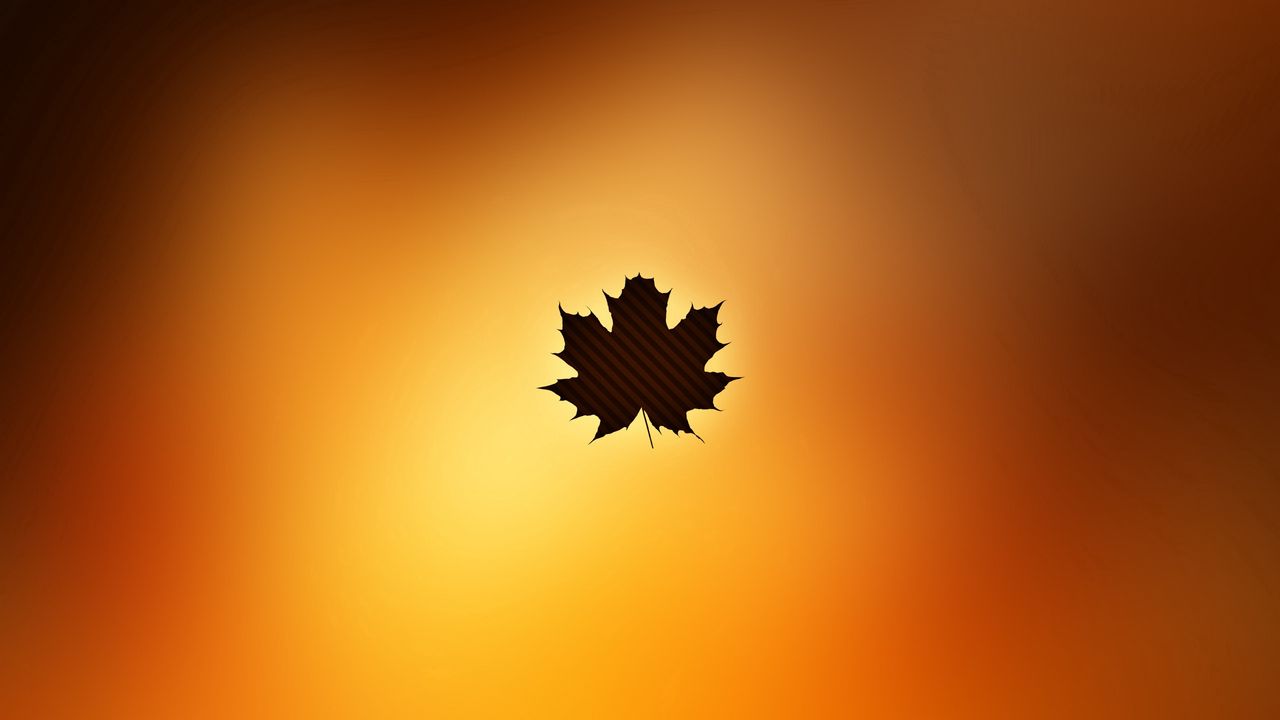 Wallpaper leaf, maple, autumn, light