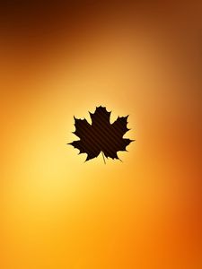 Preview wallpaper leaf, maple, autumn, light