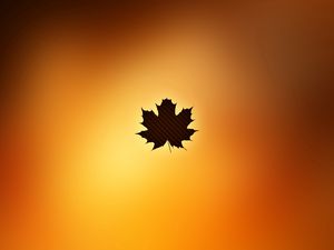 Preview wallpaper leaf, maple, autumn, light
