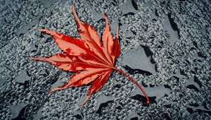 Preview wallpaper leaf, maple, drops, water, wet, surface