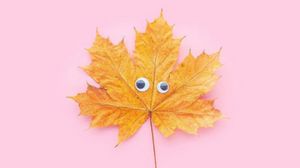Preview wallpaper leaf, maple, eyes, funny