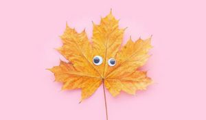 Preview wallpaper leaf, maple, eyes, funny