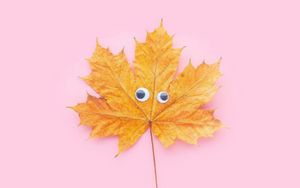 Preview wallpaper leaf, maple, eyes, funny