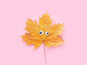 Preview wallpaper leaf, maple, eyes, funny