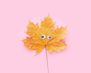 Preview wallpaper leaf, maple, eyes, funny