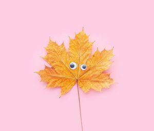 Preview wallpaper leaf, maple, eyes, funny