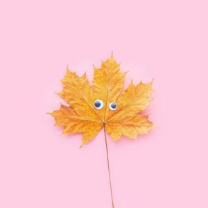 Preview wallpaper leaf, maple, eyes, funny