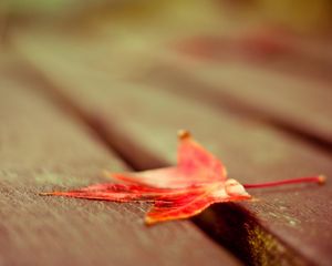 Preview wallpaper leaf, maple, flooring, wood