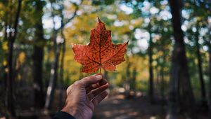 Preview wallpaper leaf, maple, hand, autumn