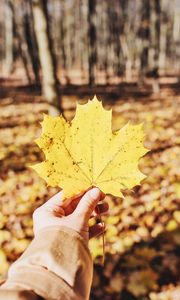 Preview wallpaper leaf, maple, hand, autumn, fallen, yellow