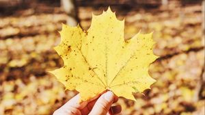 Preview wallpaper leaf, maple, hand, autumn, fallen, yellow