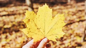 Preview wallpaper leaf, maple, hand, autumn, fallen, yellow