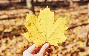 Preview wallpaper leaf, maple, hand, autumn, fallen, yellow