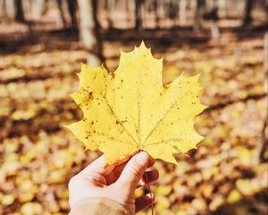 Preview wallpaper leaf, maple, hand, autumn, fallen, yellow