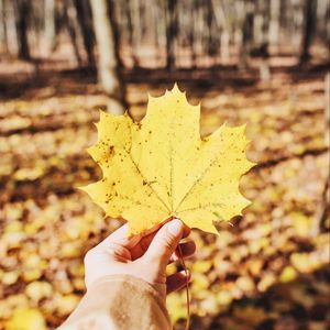 Preview wallpaper leaf, maple, hand, autumn, fallen, yellow