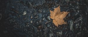 Preview wallpaper leaf, maple, stones, autumn, water, fallen