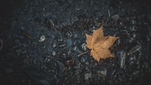 Preview wallpaper leaf, maple, stones, autumn, water, fallen