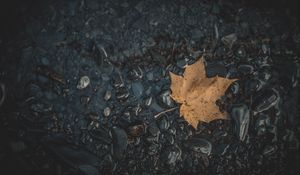 Preview wallpaper leaf, maple, stones, autumn, water, fallen