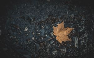 Preview wallpaper leaf, maple, stones, autumn, water, fallen
