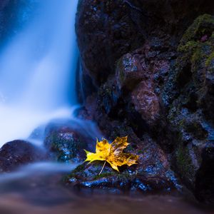 Preview wallpaper leaf, maple, water, autumn, stones