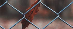Preview wallpaper leaf, mesh, metal, macro