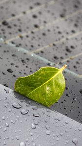Preview wallpaper leaf, metal, rain, drops, macro