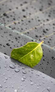 Preview wallpaper leaf, metal, rain, drops, macro