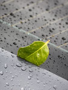 Preview wallpaper leaf, metal, rain, drops, macro