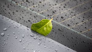Preview wallpaper leaf, metal, rain, drops, macro