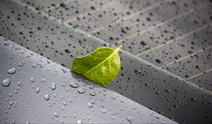 Preview wallpaper leaf, metal, rain, drops, macro