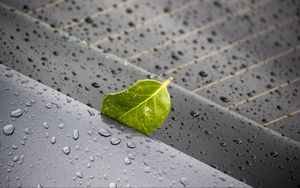 Preview wallpaper leaf, metal, rain, drops, macro