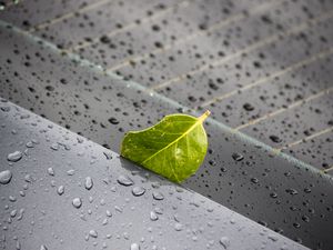 Preview wallpaper leaf, metal, rain, drops, macro