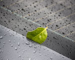 Preview wallpaper leaf, metal, rain, drops, macro