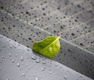 Preview wallpaper leaf, metal, rain, drops, macro