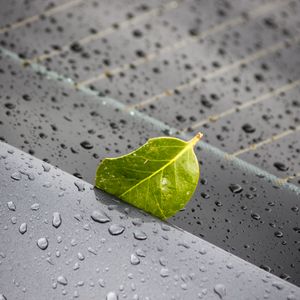 Preview wallpaper leaf, metal, rain, drops, macro