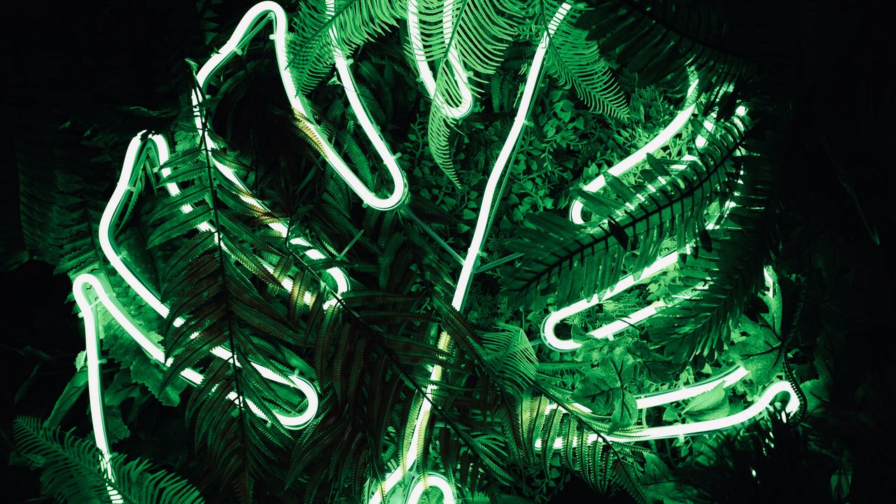 Wallpaper leaf, neon, fern, light, green