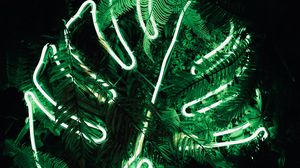 Preview wallpaper leaf, neon, fern, light, green