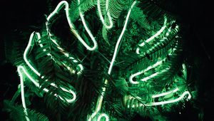 Preview wallpaper leaf, neon, fern, light, green