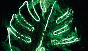 Preview wallpaper leaf, neon, fern, light, green