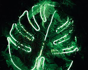 Preview wallpaper leaf, neon, fern, light, green