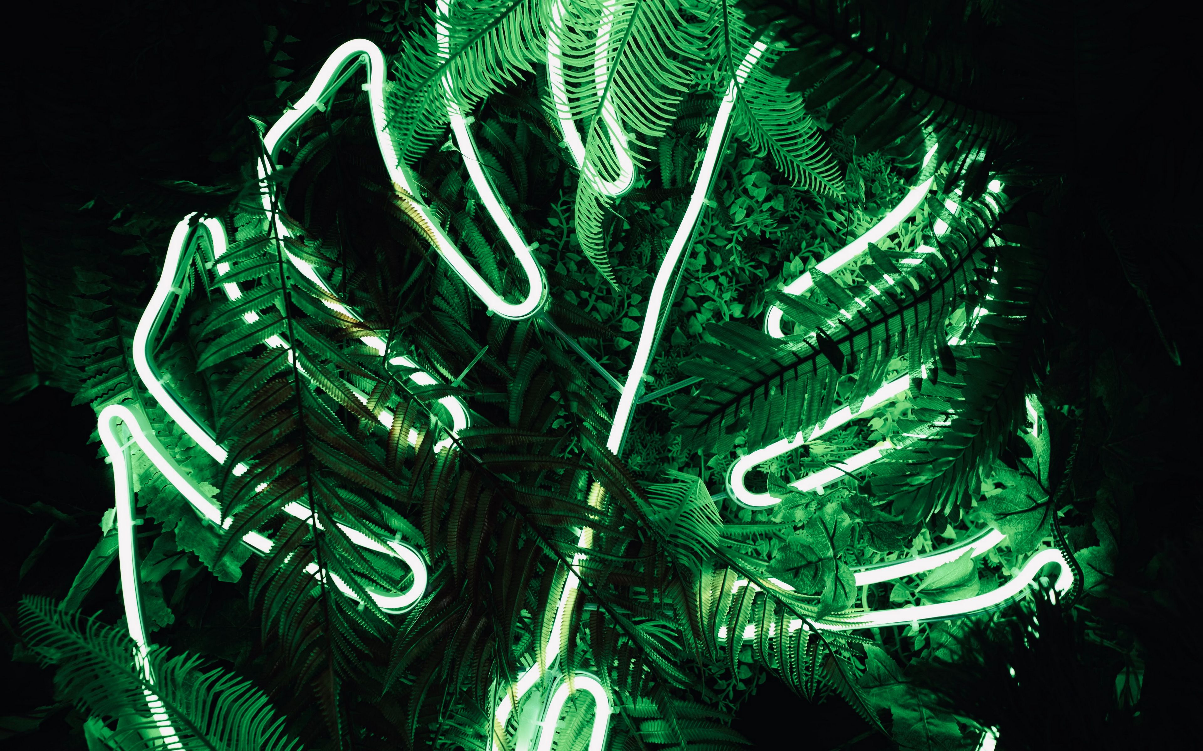 Green lights steam фото 58