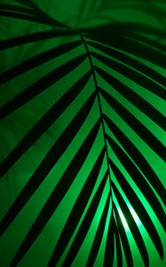Preview wallpaper leaf, neon, palm, light, dark