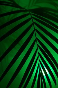 Preview wallpaper leaf, neon, palm, light, dark