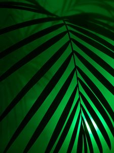 Preview wallpaper leaf, neon, palm, light, dark