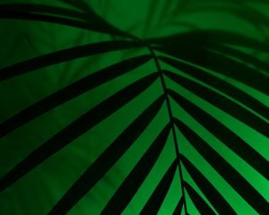 Preview wallpaper leaf, neon, palm, light, dark