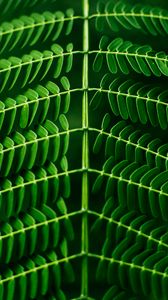 Preview wallpaper leaf, plant, green, branch, blur, symmetry