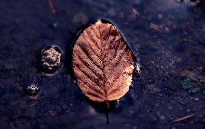 Preview wallpaper leaf, puddle, macro, autumn