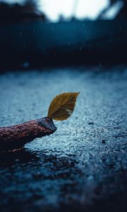 Preview wallpaper leaf, rain, sad