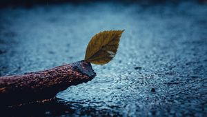 Preview wallpaper leaf, rain, sad